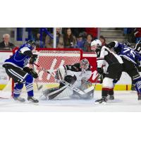 Vancouver Giants goaltender Trent Miner stonewalls the Victoria Royals