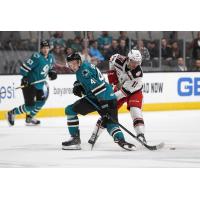 Grand Rapids Griffins left wing Turner Elson (right) fights the San Jose Barracuda for the puck