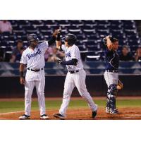 Steven Sensley and Donny Sands exchange high fives for the Tampa Tarpons