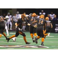 Darrell Monroe of the Arizona Rattlers receives a handoff against the San Diego Strike Force