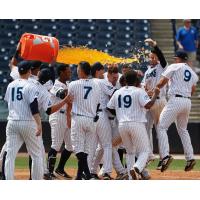 Isiah Gilliam Gets a Gatorade shower from his Tampa Tarpons teammates