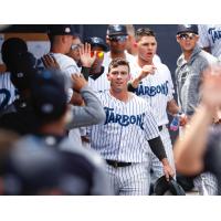 Matt Pita of the Tampa Tarpons receives congratulations in the dugout