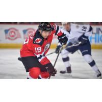 Adirondack Thunder forward Shane Conacher