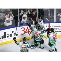 Utah Grizzlies celebrate a goal