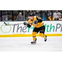 Wheeling Nailers forward Michael Phillips