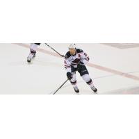 South Carolina Stingrays forward Andrew Cherniwchan