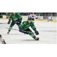 Florida Everblades forward Joe Cox