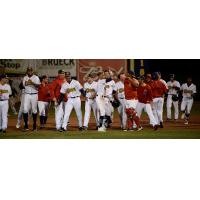 Burlington Bees celebrate a walk off win