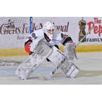 Goaltender Logan Thompson with the Adirondack Thunder