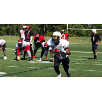 Jacksonville Sharks practice