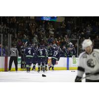 Maine Mariners exchange congratulations along the bench