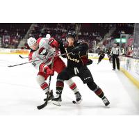 Cleveland Monsters battle the Charlotte Checkers