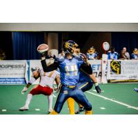 Cedar Rapids River Kings quarterback Kurt Palandech