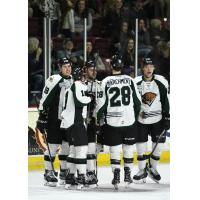 Utah Grizzlies huddle up after a goal