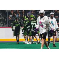 Saskatchewan Rush celebrate a goal against the San Diego Seals