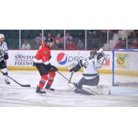 Adirondack Thunder forward Matt Salhany with a shot against the Manchester Monarchs