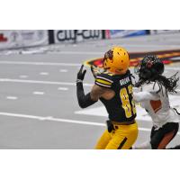 Arizona Rattlers defend against the Tucson Sugar Skulls