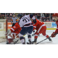 Nicholas Porco of the Saginaw Spirit vs. the Soo Greyhounds