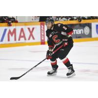 Prince George Cougars defenceman Cole Moberg