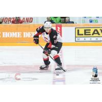 Prince George Cougars forward Matej Toman