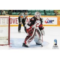 Prince George Cougars goaltender Taylor Gauthier