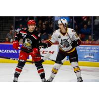 Grand Rapids Griffins vs. the Chicago Wolves