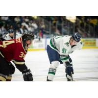 Florida Everblades forward Patrick Bajkov