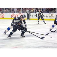 Utah Grizzlies forward Tim McGauley vs. the Idaho Steelheads