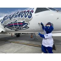 Pensacola Blue Wahoos and Silver Airways unveil Kazoo Airplane