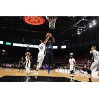 Halifax Hurricanes vs. the Moncton Magic