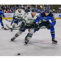 Florida Everblades defenseman Patrick McCarron (left) vs. the Jacksonville IceMen