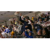 Saginaw Spirit fans cheer on their team