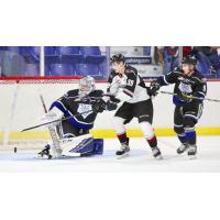 Vancouver Giants centre Evan Patrician in front of the Victoria Royals goal