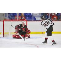 Vancouver Giants centre John Little takes a shot vs. the Prince George Cougars