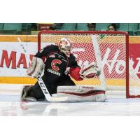 Goaltender Isaiah DiLaura with the Prince George Cougars