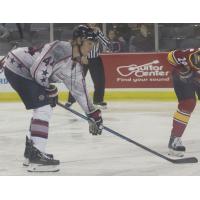 Defenseman Nick Wright with the Evansville Thunderbolts