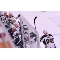 Justin Lies of the Vancouver Giants gets high fives from the bench following his goal