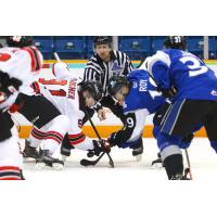 Saint John Sea Dogs face off against the Quebec Remparts
