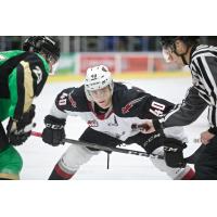Vancouver Giants centre Milos Roman faces off with the Prince Albert Raiders