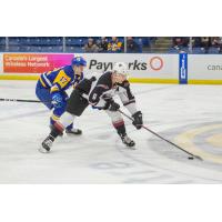 Vancouver Giants defenceman Dylan Plouffe handles the puck against the Saskatoon Blades