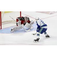Vancouver Giants goaltender Trent Miner faces the Swift Current Broncos in a shootout
