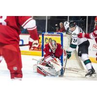 Allen Americans goaltender Jake Paterson makes a save against the Utah Grizzlies