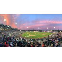 A crowd at PeoplesBank Park, home of the Somerset Patriots