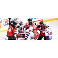 Binghamton Devils scuffle with the Rochester Americans