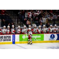Grand Rapids Griffins left wing Taro Hirose and the Griffins bench