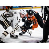 Lehigh Valley Phantoms center Cal O'Reilly (right) faces off with the Hershey Bears
