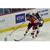 Vancouver Giants right wing Jared Dmitriw (22) vs. the Red Deer Rebels