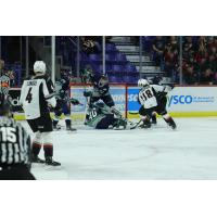 Vancouver Giants left wing Jackson Shepard (right) vs. the Seattle Thunderbirds