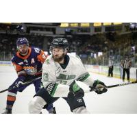 Florida Everblades forward Michael Neville