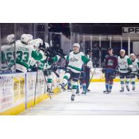 Texas Stars exchange congratulations along the bench vs. the Colorado Eagles